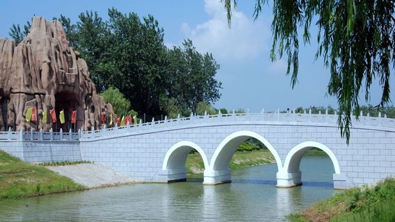 Bird Language Forest