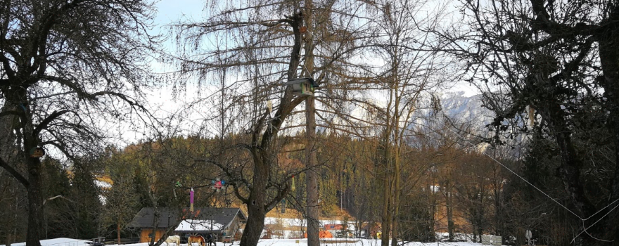 Almkapelle Maria Schnee