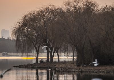 Honglian Lake