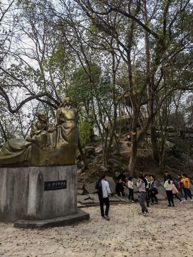 오계비림