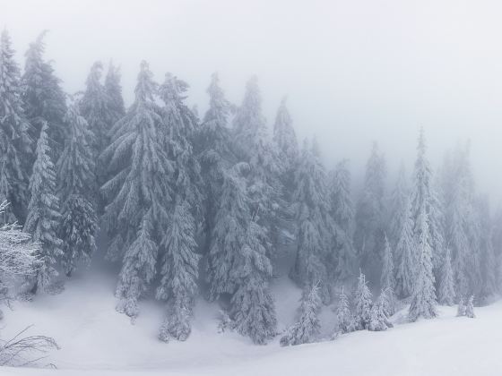 Cypress Mountain