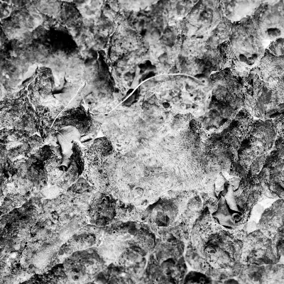 Отзывы об отеле Dominiks Stylish Res. Gem Ocean View Pool Tambuli