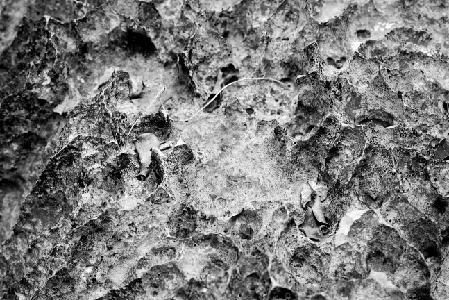 Отзывы об отеле Acacia Sunset Village Inn