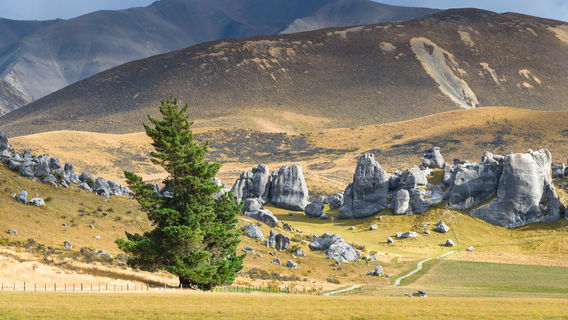 Castle Hill, New Zealand