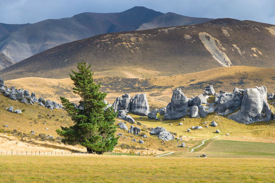 Castle Hill, New Zealand