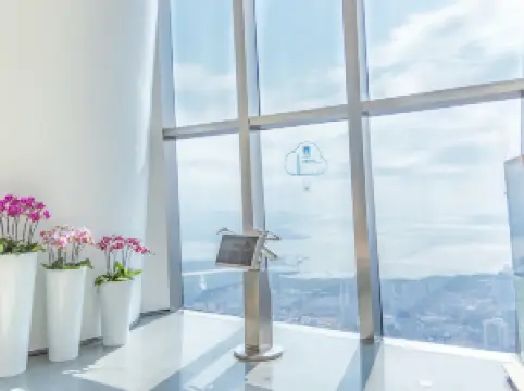 선전핑안금융센터(심천평안금융중심) 윈지전망대(운제관광층)