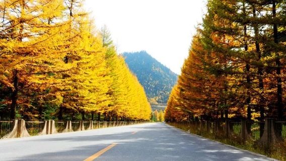 Naadam Cultural Square