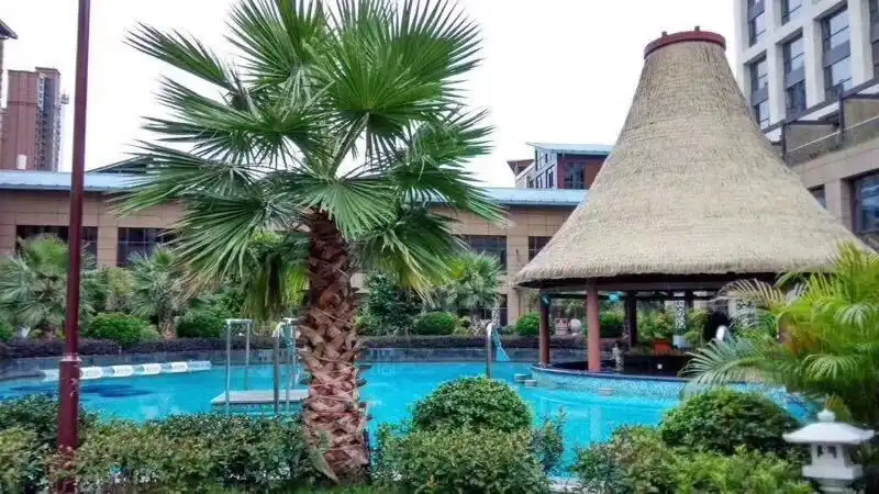 5_Smiler Hot Spring