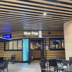 Blue Frog (Aqua City) User Photo