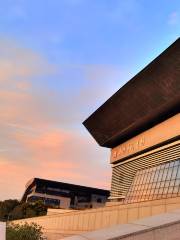 Nanyang Library