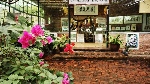 Huangjinbu Colorful Mucuna Birdwoodiana Flower Base