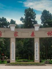 Jiufeng National Forest Park