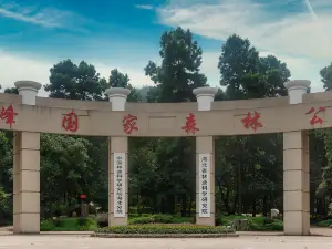 Jiufeng National Forest Park