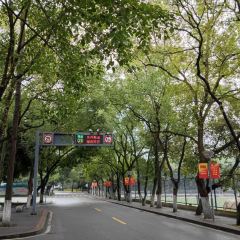 再说青年餐厅(西南大学店) User Photo