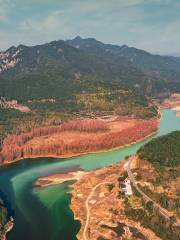 Xiaozhi Mangrove