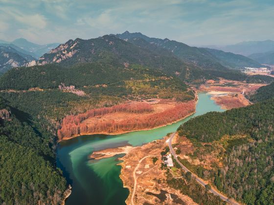 Xiaozhi Mangrove