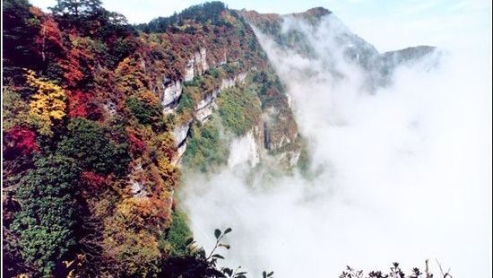 雷洞坪是峨眉山景点之一，位于连望坡上，海拔2430米。古名雷