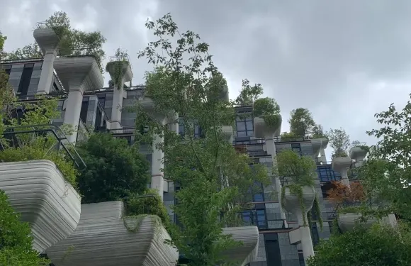 Highlight Restaurant