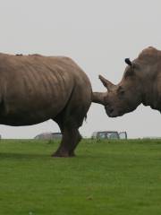 Zoo de Whipsnade