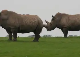 溫比思奈得野生動物園