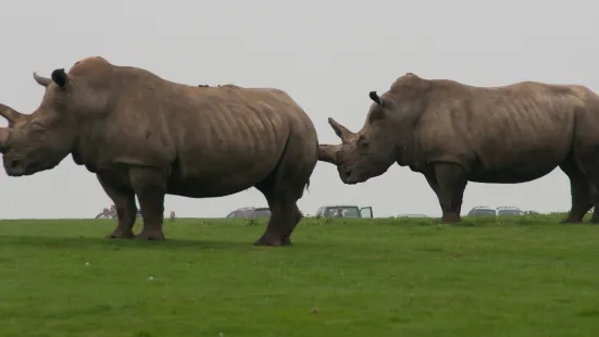 ウィップスネード動物園