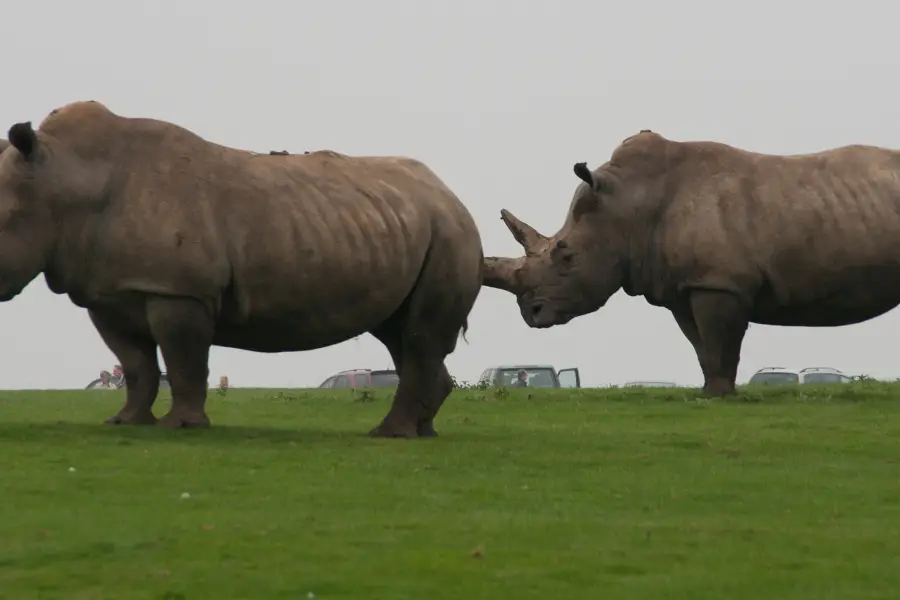 Whipsnade Zoo