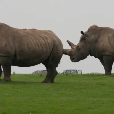 Отели с услугой Интернет в г. Айлесбери