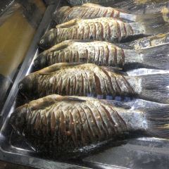 君谊烧烤汤锅 环保生烤拒绝油炸(古尔沟店) User Photo