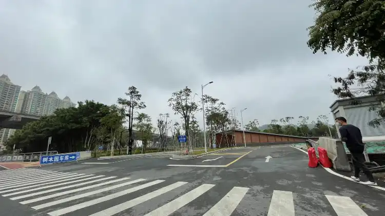 Hotels near Trees park