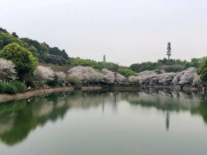 Hotels in der Nähe von Xiangnan Botanical Garden