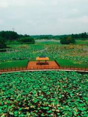 Wuhe Wetland Park