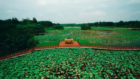 Wuhe Wetland Park