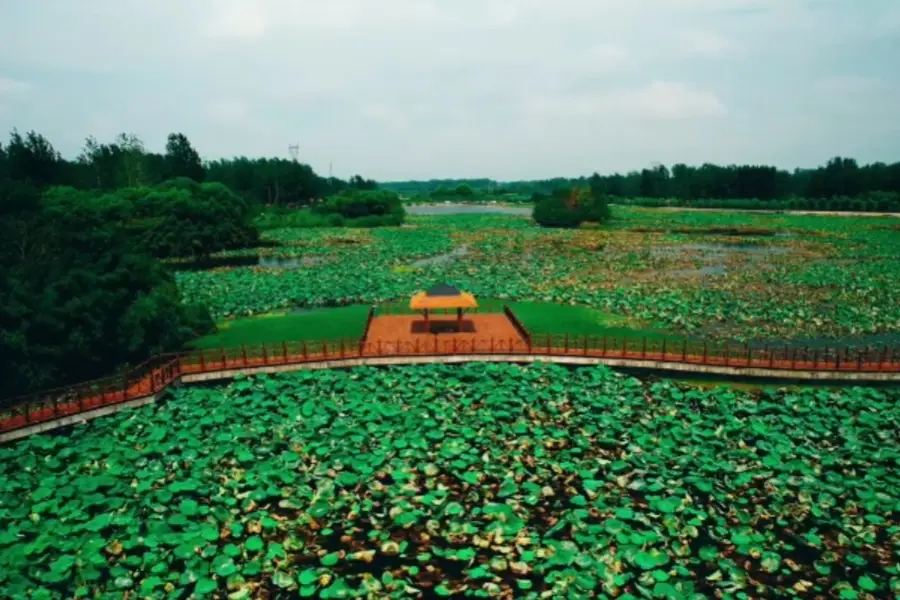 Wuhe Wetland Park