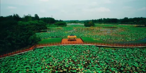 武河國家濕地公園