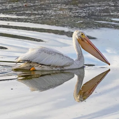 Отзывы об отеле Grande Colonial la Jolla