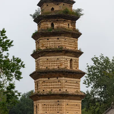 Разрешено размещения с домашними животными Отели в г. Цзиюань