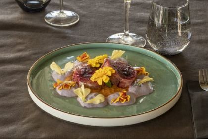 Friccico Green Bakery