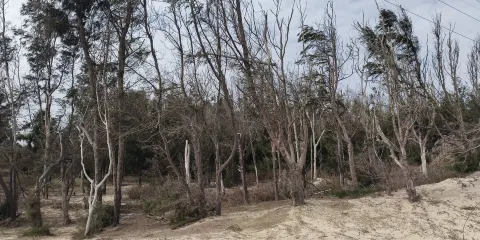 凈峯惠女灣旅遊景區-歷史軍事碉堡