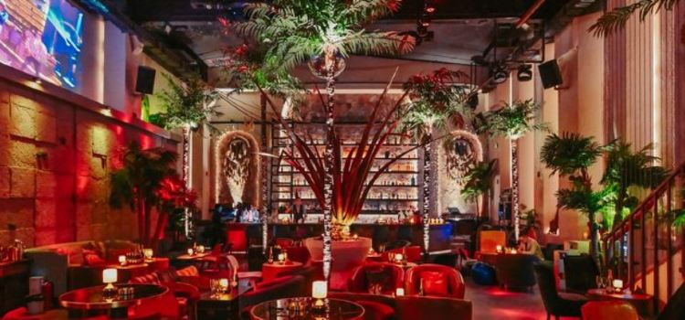 50mil Cocktail&whisky pub