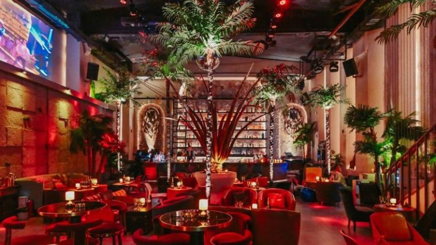 50mil Cocktail&whisky pub