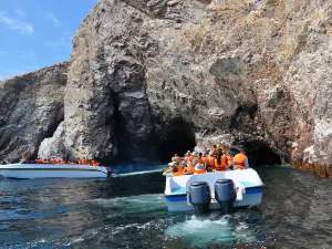Ballestas Islands