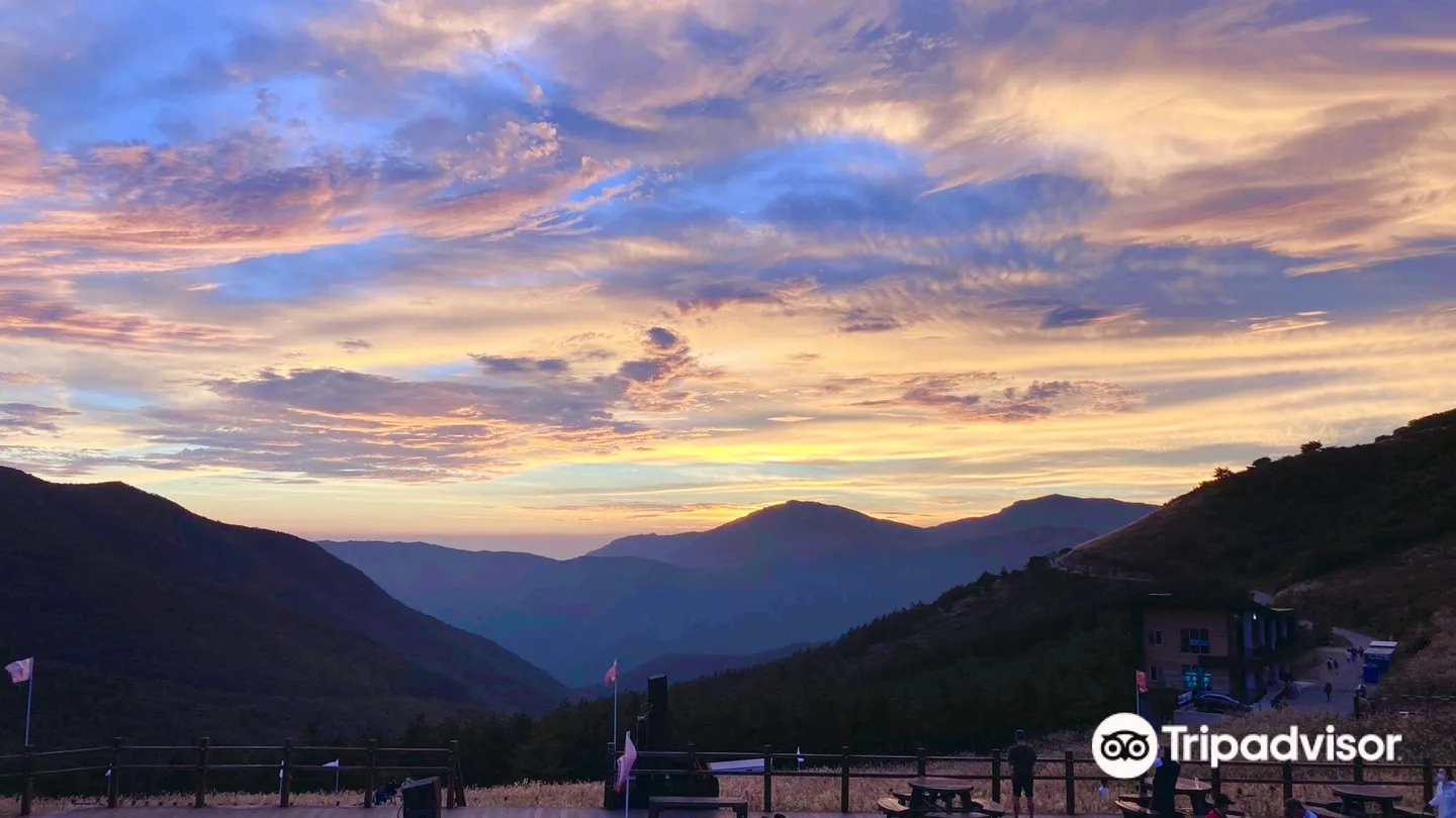 3_Ganwoljae Flame Grass Road