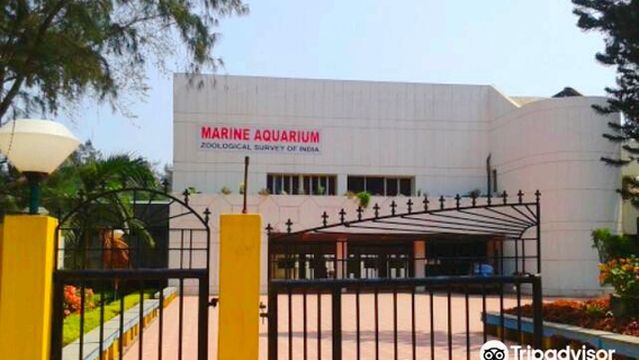 Marine Aquarium & Regional Centre