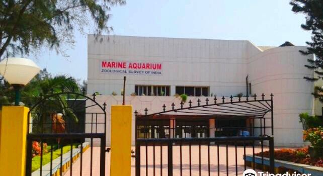 Marine Aquarium & Regional Centre