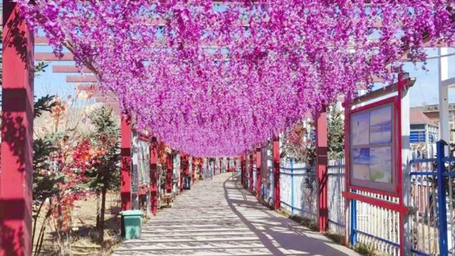 Qianziyuan Agricultural Science and Technology Expo Park