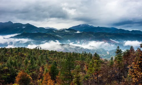 Tongbo Mountain Scenic Area
