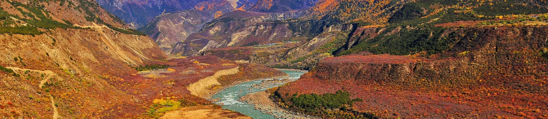 Fall Viewing Attractions