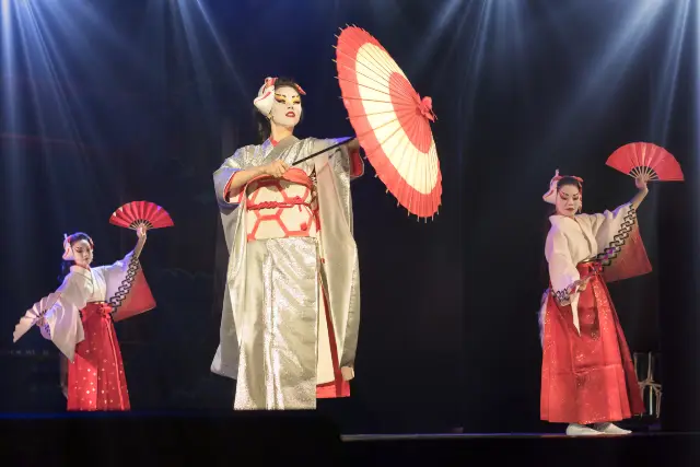 Kabuki Performances in Tokyo