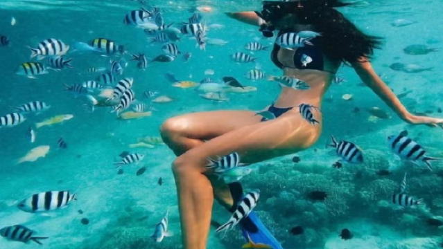 Riyue Bay Rainforest Stream Tracing & Coconut Grove Paddleboarding & Sports Base