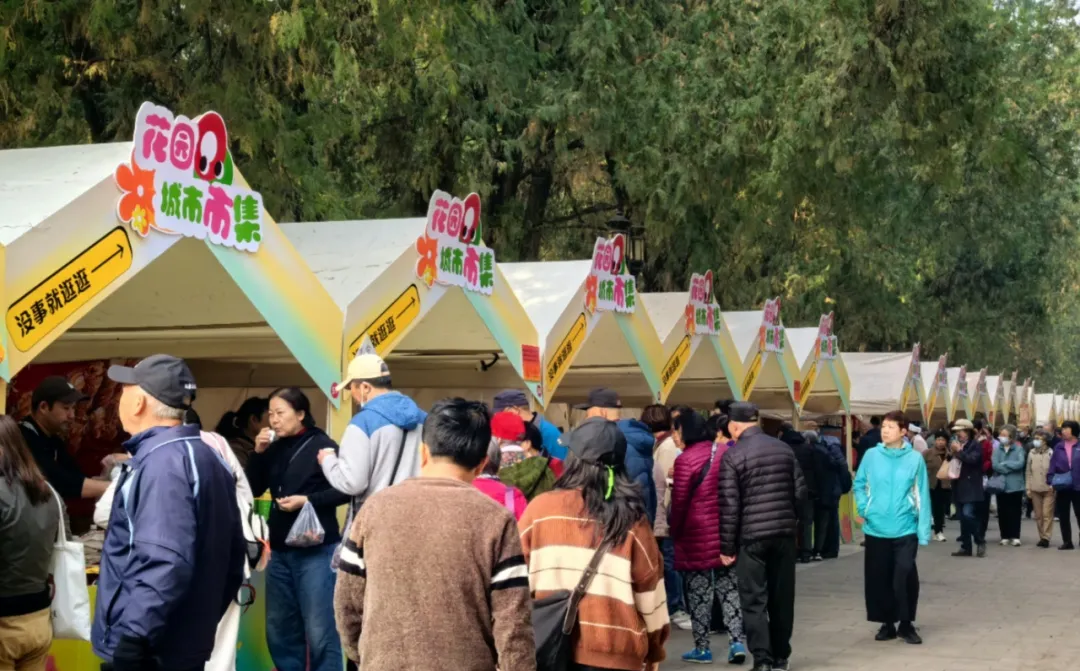 The 10th Ditan Ginkgo Festival | Beijing